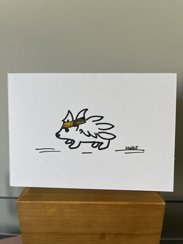 Harry Hedgehog